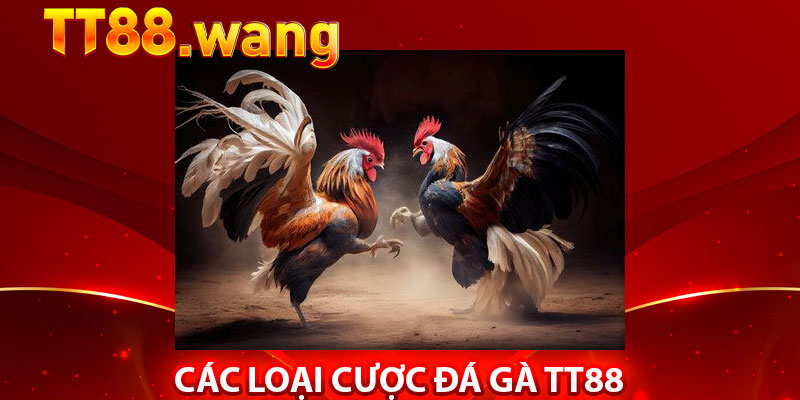 Các Loại Cược Đá Gà TT88