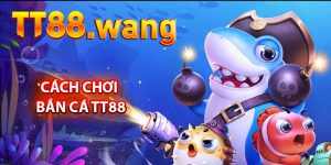 Cách Chơi Bắn Cá TT88