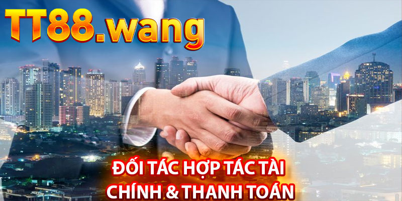 Đối Tác Hợp Tác Tài Chính & Thanh Toán