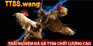 Trải Nghiệm Đá Gà TT88 Chất Lượng Cao